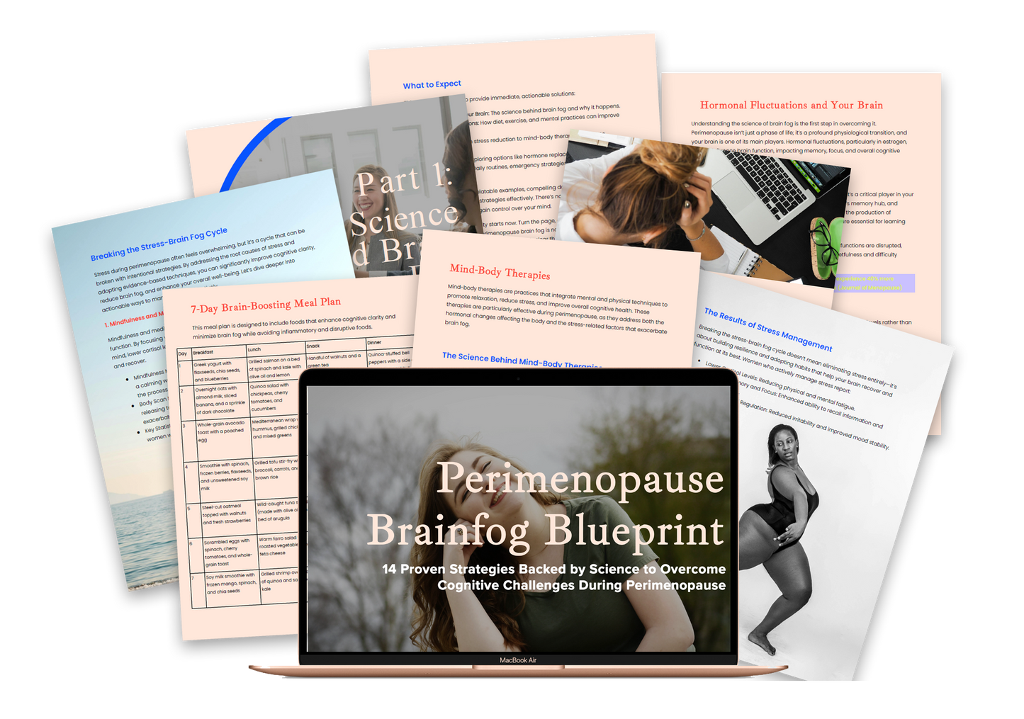 The Perimenopause Brain Fog Blueprint (eBook)